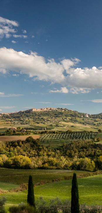 view-montepulciano-day