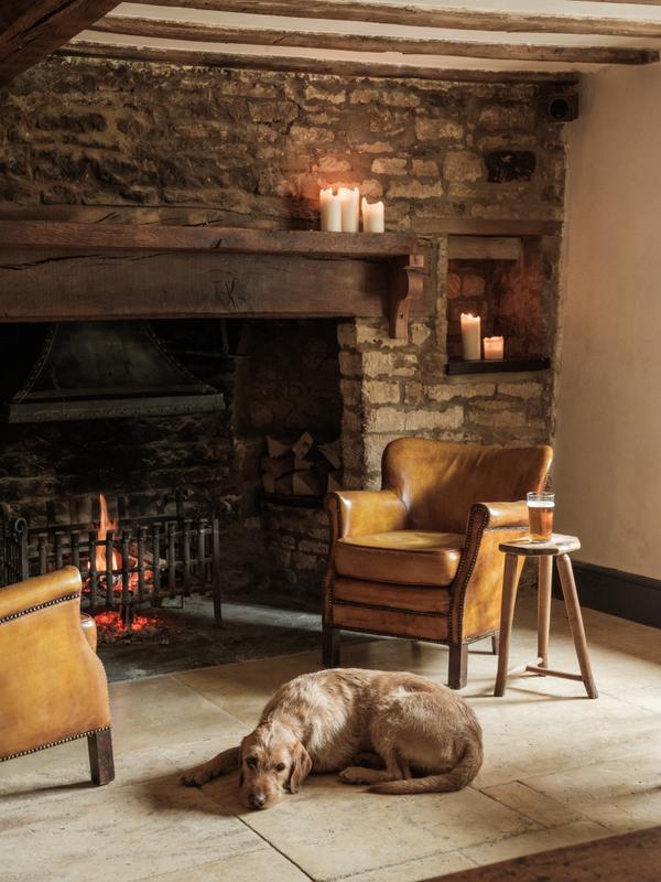 The Bull fireplace dog