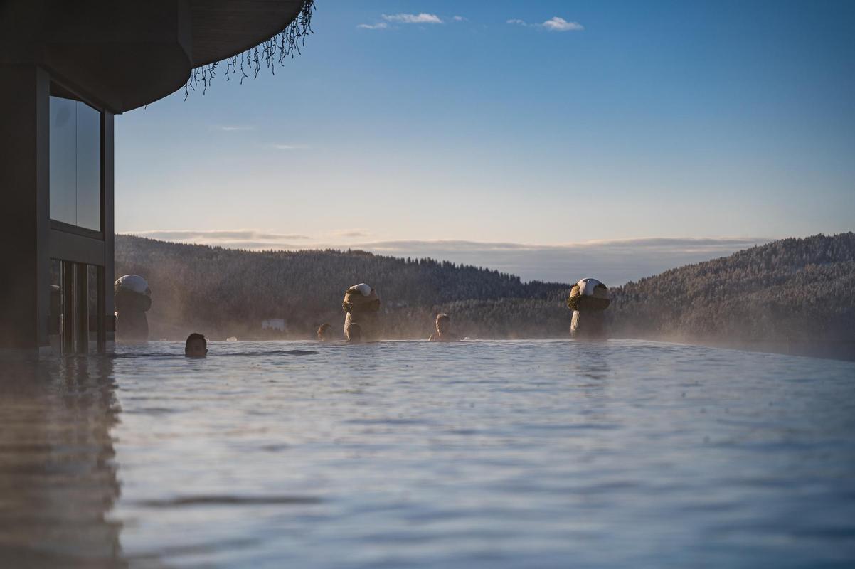 Chalet Mirabell_Pool with people