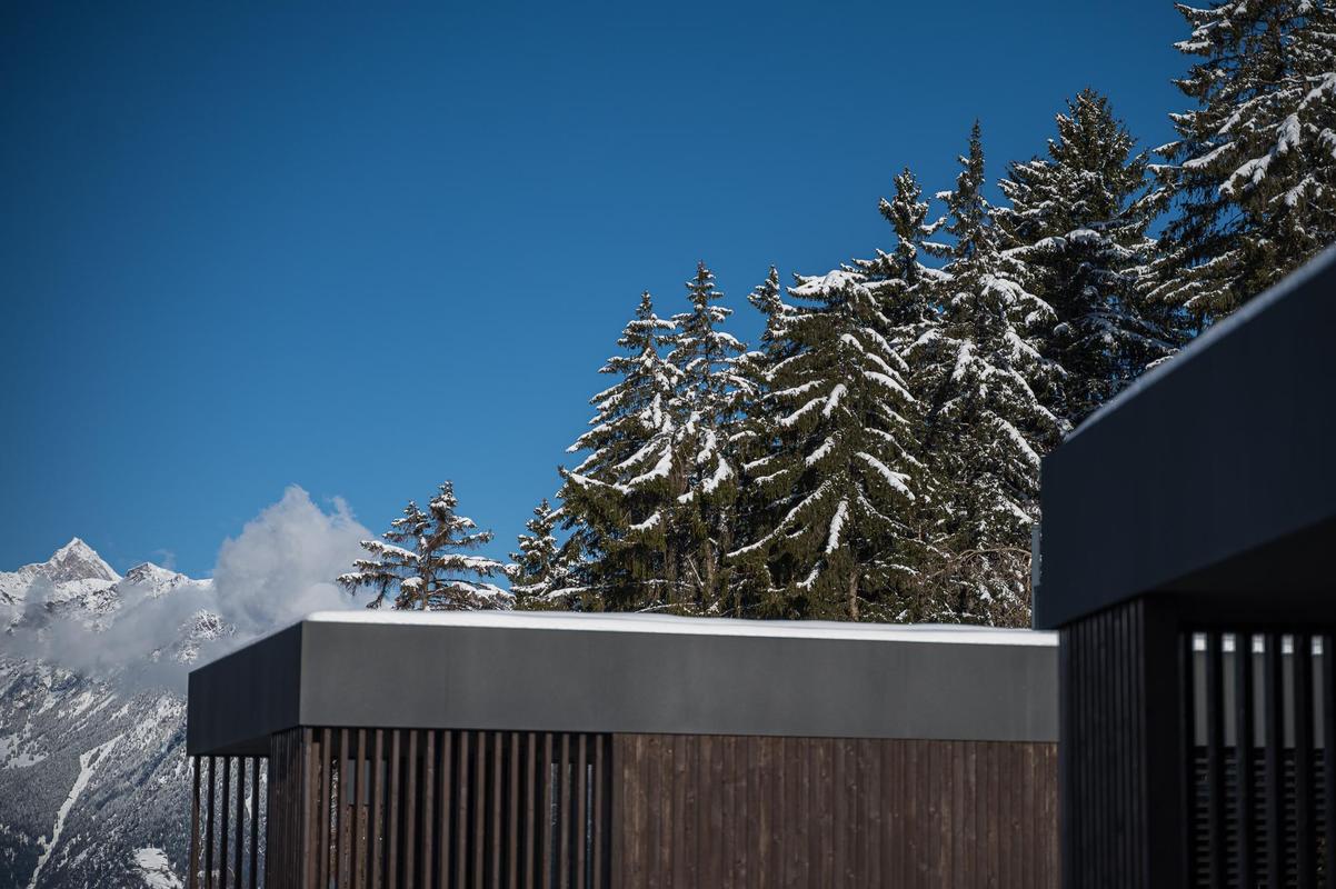 BergVillen Winter architecture
