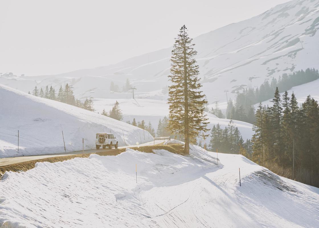 The Cambrian White defender in snowy landscape
