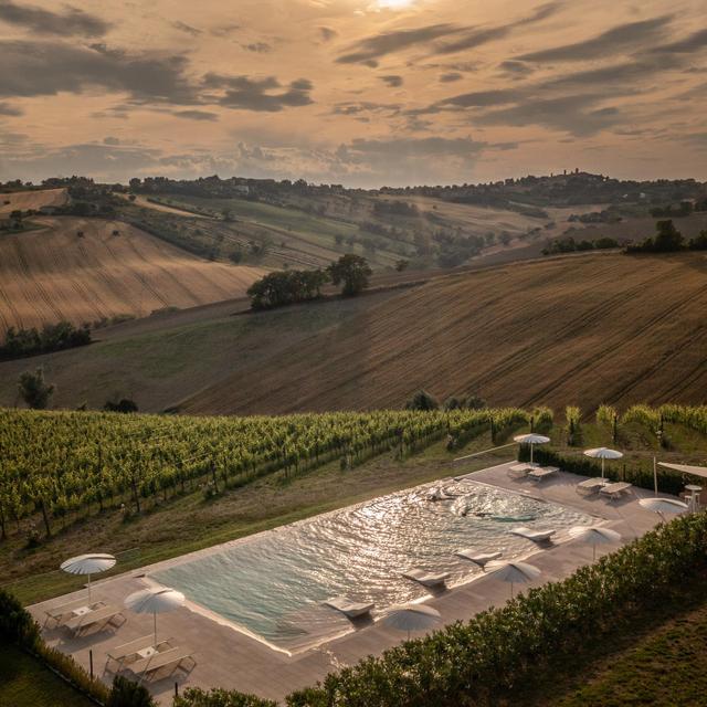 Filodivino