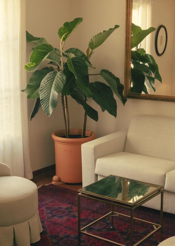 La Ponche white sofa plant