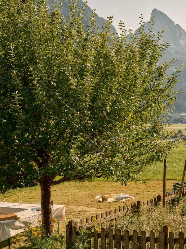 Le Chalet Saanen August 3rd, view of garden, Jonathan Ducrest