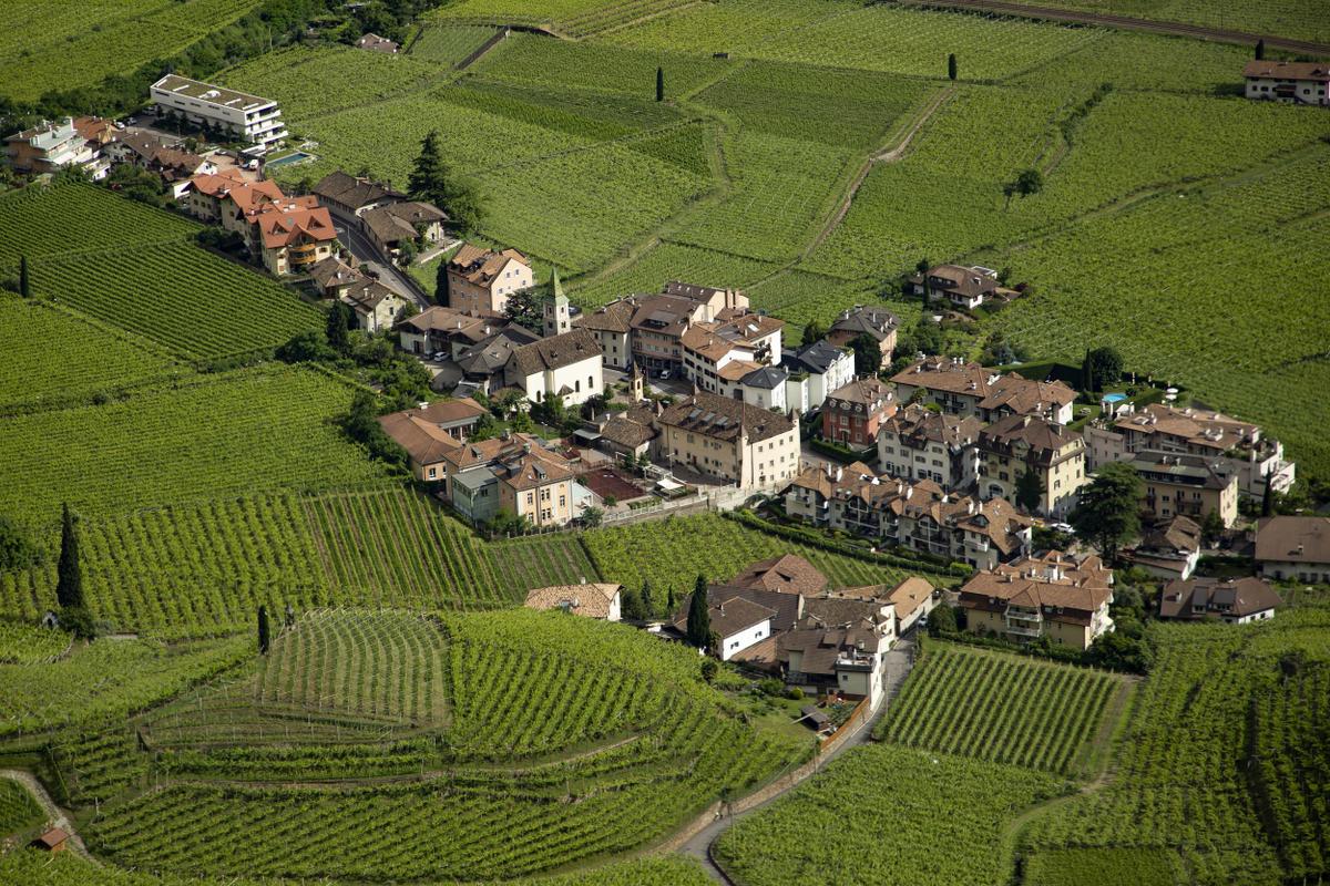 Magdalener Hof village in vineyards