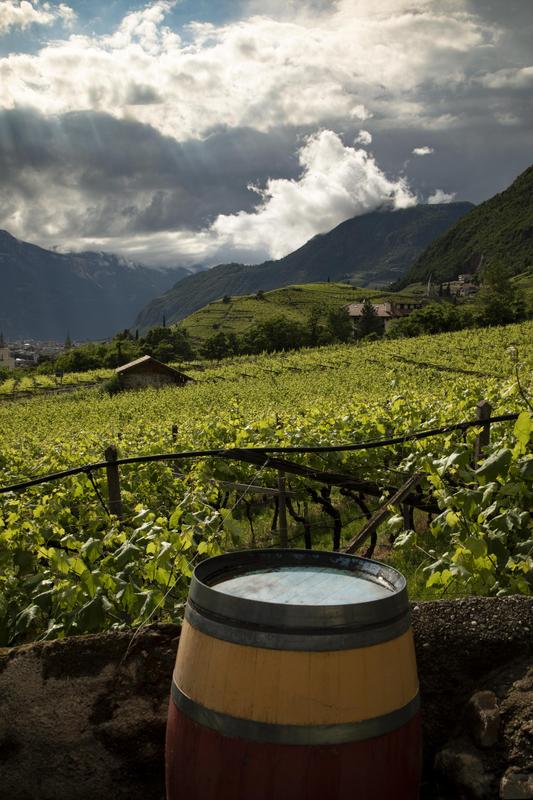 Magdalener Hof vineyards with wine container