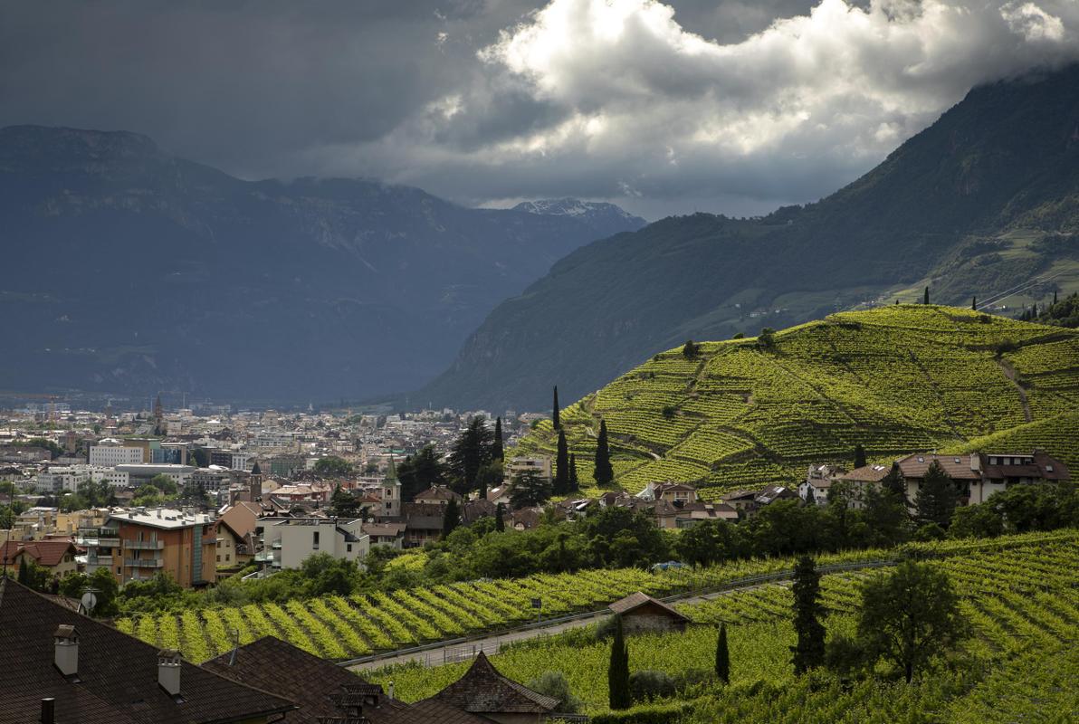 Magdalener Hof views into valley from vineyards