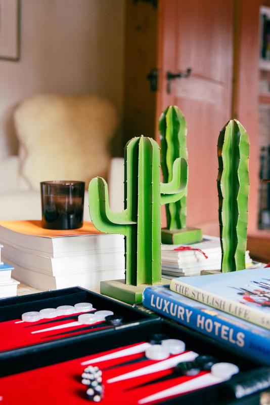 Nils Grubba_Le Chalet Saanen_salon with cactus details