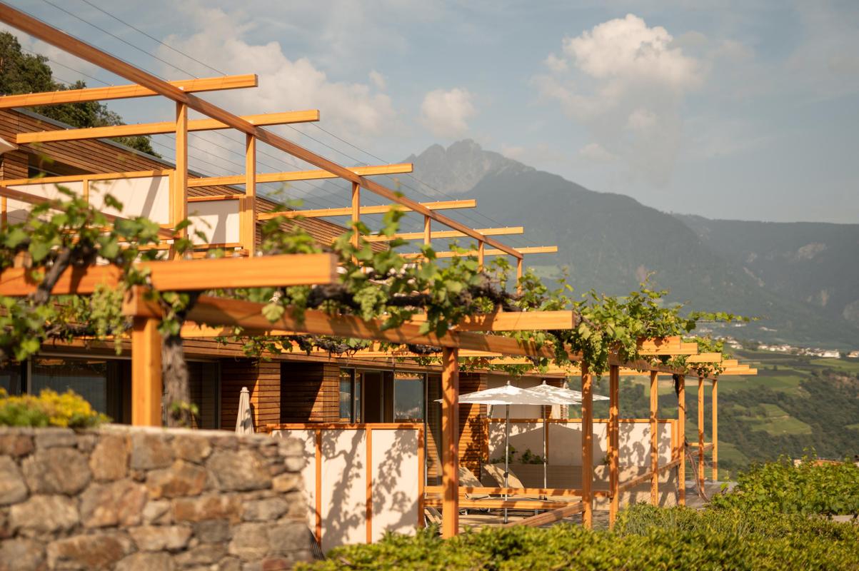 Pergola Residence_Patrick Schwienbacher_Exterior with Vines