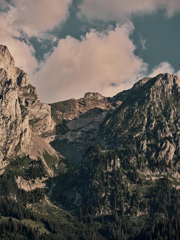 Le Chalet Lion Rouge_Alpine Cowboy_Mountainous Landscape