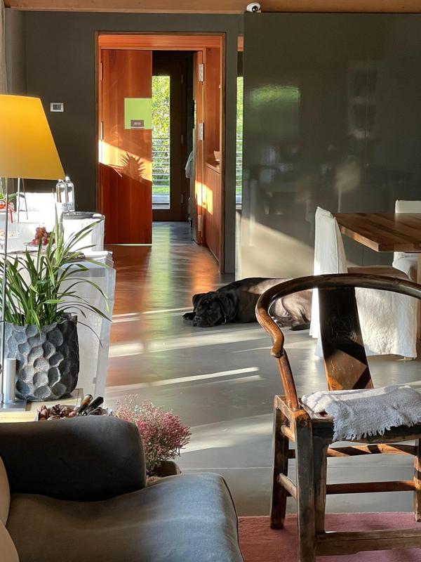 VIVERE Arco Italy_Lounge with dog